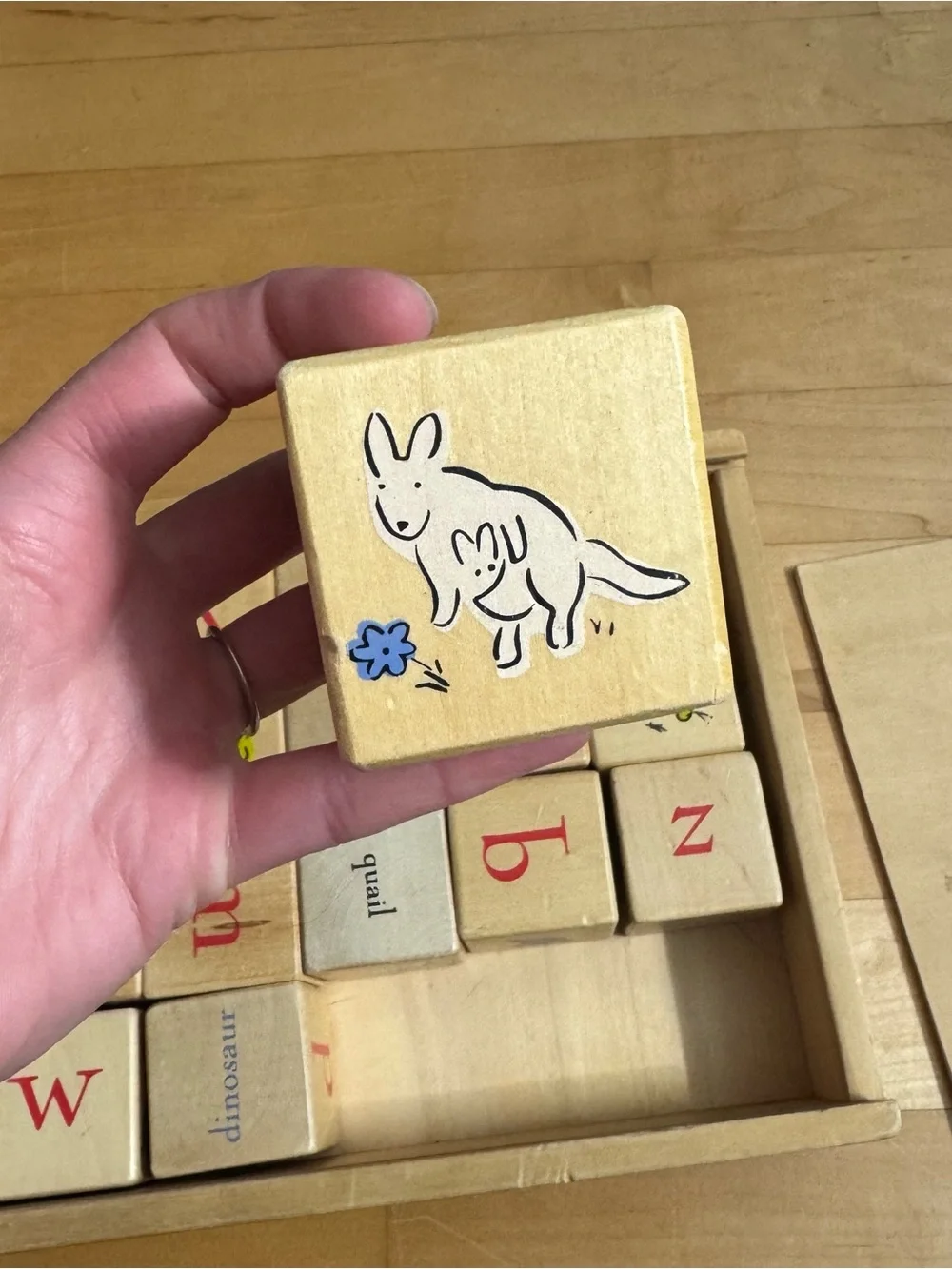 Pottery Barn Kids PBK Learning Alphabet‎ Blocks with storage box Montessori